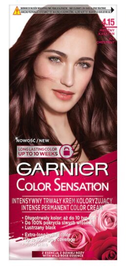 Ilgnoturīga matu krāsa Garnier Color Sensation 110 ml, 4.15 Icy Chestnut цена и информация | Matu krāsas | 220.lv