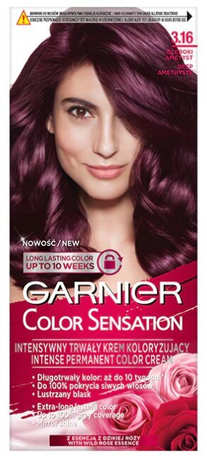 Ilgnoturīga matu krāsa Garnier Color Sensation 110 ml, 3.16 Deep Amethyste цена и информация | Matu krāsas | 220.lv