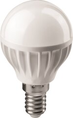 ACME LED Mini Globe 6W2700K20h470lmE14 цена и информация | Лампочки | 220.lv