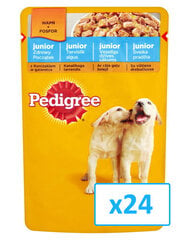 Консервы для щенков Pedigree Junior с курицей 24 x 100 г  цена и информация | Консервы для собак | 220.lv
