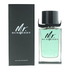 Мужская парфюмерия Mr Burberry Burberry EDT: Емкость - 150 ml цена и информация | Мужские духи | 220.lv