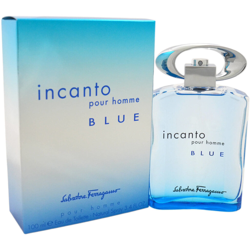 Salvatore Ferragamo Incanto Blue EDT vīriešiem 100 ml cena un informācija | Vīriešu smaržas | 220.lv