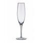 Bohemia šampanieša glāzes Amoroso, 2 gab. cena un informācija | Glāzes, krūzes, karafes | 220.lv