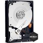 Western Digital WD1003FZEX Black HDD 1TB 3.5" 7200RPM SATA3 64MB цена и информация | Iekšējie cietie diski (HDD, SSD, Hybrid) | 220.lv