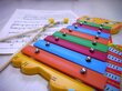 Bērnu koka ksilofons Djeco Animambo, DJ06002 цена и информация | Attīstošās rotaļlietas | 220.lv