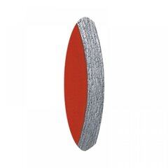 Dimanta disks DCN 200x25.4mm flīzēm Dedra cena un informācija | Rokas instrumenti | 220.lv