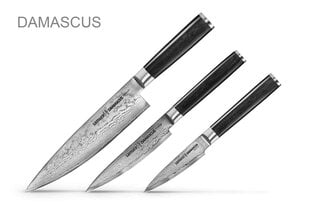 Комплект ножей Samura DAMASCUS, 3 шт. цена и информация | Ножи и аксессуары для них | 220.lv