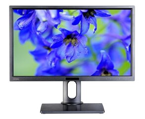 BENQ LED BL2420PT 23,8" cena un informācija | BenQ Datortehnika | 220.lv