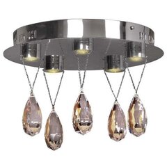 Griestu lampa 5598-25722 цена и информация | Потолочные светильники | 220.lv