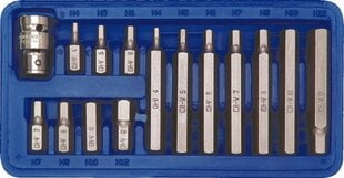 Vorel uzgaļu komplekts HEX CrV, 15 gab. цена и информация | Механические инструменты | 220.lv