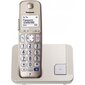 Panasonic KX-TGE210, sudraba цена и информация | Stacionārie telefoni | 220.lv