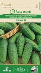 Огурцы Julian H цена и информация | Семена овощей, ягод | 220.lv