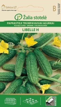 ĪSAUGĻU GURĶI LIBELLE H cena un informācija | Dārzeņu, ogu sēklas | 220.lv