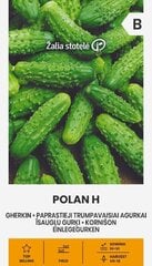 Parasto īsaugļu gurķu sēklas Polan H cena un informācija | Dārzeņu, ogu sēklas | 220.lv