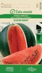 Арбуз Sugar baby цена и информация | Семена овощей, ягод | 220.lv