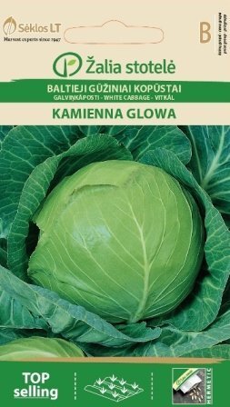 GALVIŅKĀPOSTI KAMIENNA GLOWA cena un informācija | Dārzeņu, ogu sēklas | 220.lv