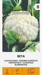 Цветная капуста Beta цена и информация | Семена овощей, ягод | 220.lv