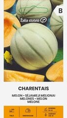 Дыня Charentais, 1 г цена и информация | Семена овощей, ягод | 220.lv