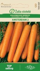 Морковь Amsterdammer 2, 3 g цена и информация | Семена овощей, ягод | 220.lv