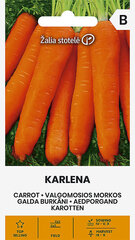 Морковь Karlena, 5 г цена и информация | Семена овощей, ягод | 220.lv