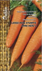 Морковь Lange rote stumfe ohne Herz 2, 5 г цена и информация | Семена овощей, ягод | 220.lv