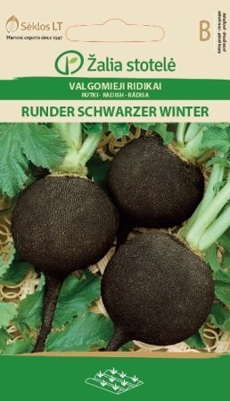 RUTKI RUNDER SCHWARZER WINTER цена и информация | Dārzeņu, ogu sēklas | 220.lv