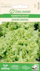 Dārza salāti Grand rapids цена и информация | Семена овощей, ягод | 220.lv