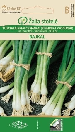 LIELLOKU SĪPOLI BAJKAL цена и информация | Dārzeņu, ogu sēklas | 220.lv