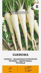 Петрушка Cukrowa, 2 г цена и информация | Семена овощей, ягод | 220.lv