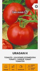 Помидоры Uragan H, 0.1 г цена и информация | Семена овощей, ягод | 220.lv