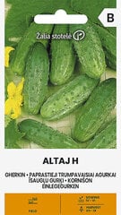 Огурцы Altai H цена и информация | Семена овощей, ягод | 220.lv