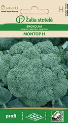 Брокколи MONTOP H, 0.1 г цена и информация | Семена овощей, ягод | 220.lv