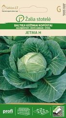 Капуста JETMA H, 30 семян цена и информация | Семена овощей, ягод | 220.lv