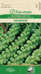 Брюсельська капуста GRONINGER, 1 г цена и информация | Семена овощей, ягод | 220.lv