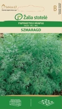 Укроп SZMARAGD, 5 г цена и информация | Семена овощей, ягод | 220.lv