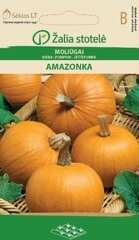 Тыква AMAZONKA, 1.7 г цена и информация | Семена овощей, ягод | 220.lv