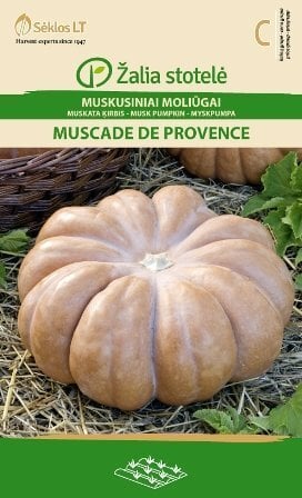 MUSKATA ĶIRBIS MUSCADE DE PROVENCE cena un informācija | Dārzeņu, ogu sēklas | 220.lv