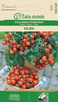 Помидоры Vilma, 0.2 г цена и информация | Семена овощей, ягод | 220.lv