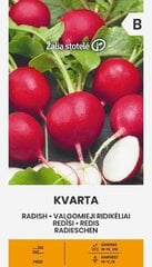 Редис KVARTA, 3 г цена и информация | Семена овощей, ягод | 220.lv