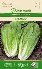 Dārza salāti GALANDER cena un informācija | Dārzeņu, ogu sēklas | 220.lv