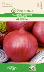 Лук GRENADA цена и информация | Семена овощей, ягод | 220.lv