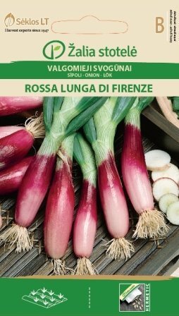 SĪPOLI ROSSA LUNGA DI FIRENZE цена и информация | Dārzeņu, ogu sēklas | 220.lv