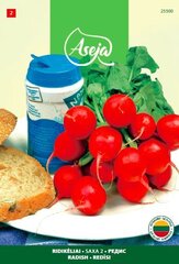 Редис,Saxa 2, ASEJA, 5г,  25500( 2 ) цена и информация | Семена овощей, ягод | 220.lv