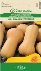 Тыква мускатная WALTHAM BUTTERNUT цена и информация | Семена овощей, ягод | 220.lv