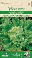 Салат REGINA DEI GHIACCI цена и информация | Семена овощей, ягод | 220.lv