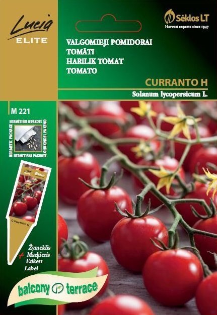 Tomāti Curranto H цена и информация | Dārzeņu, ogu sēklas | 220.lv