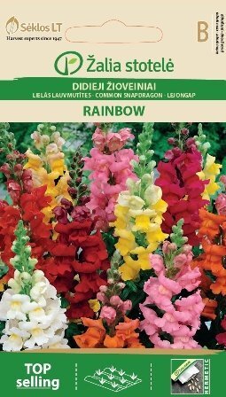 LIELĀS LAUVMUTĪTES RAINBOW cena un informācija | Puķu sēklas | 220.lv