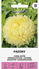 ASTERES PAEONY YELLOW цена и информация | Семена цветов | 220.lv