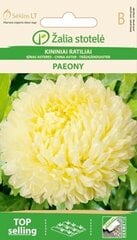 ASTERES PAEONY YELLOW цена и информация | Семена цветов | 220.lv