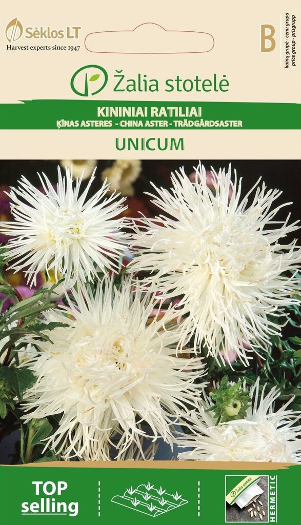 Kīnas astere Unicum цена и информация | Puķu sēklas | 220.lv